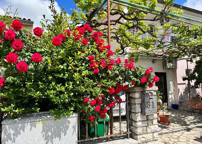 Veronika\'S House