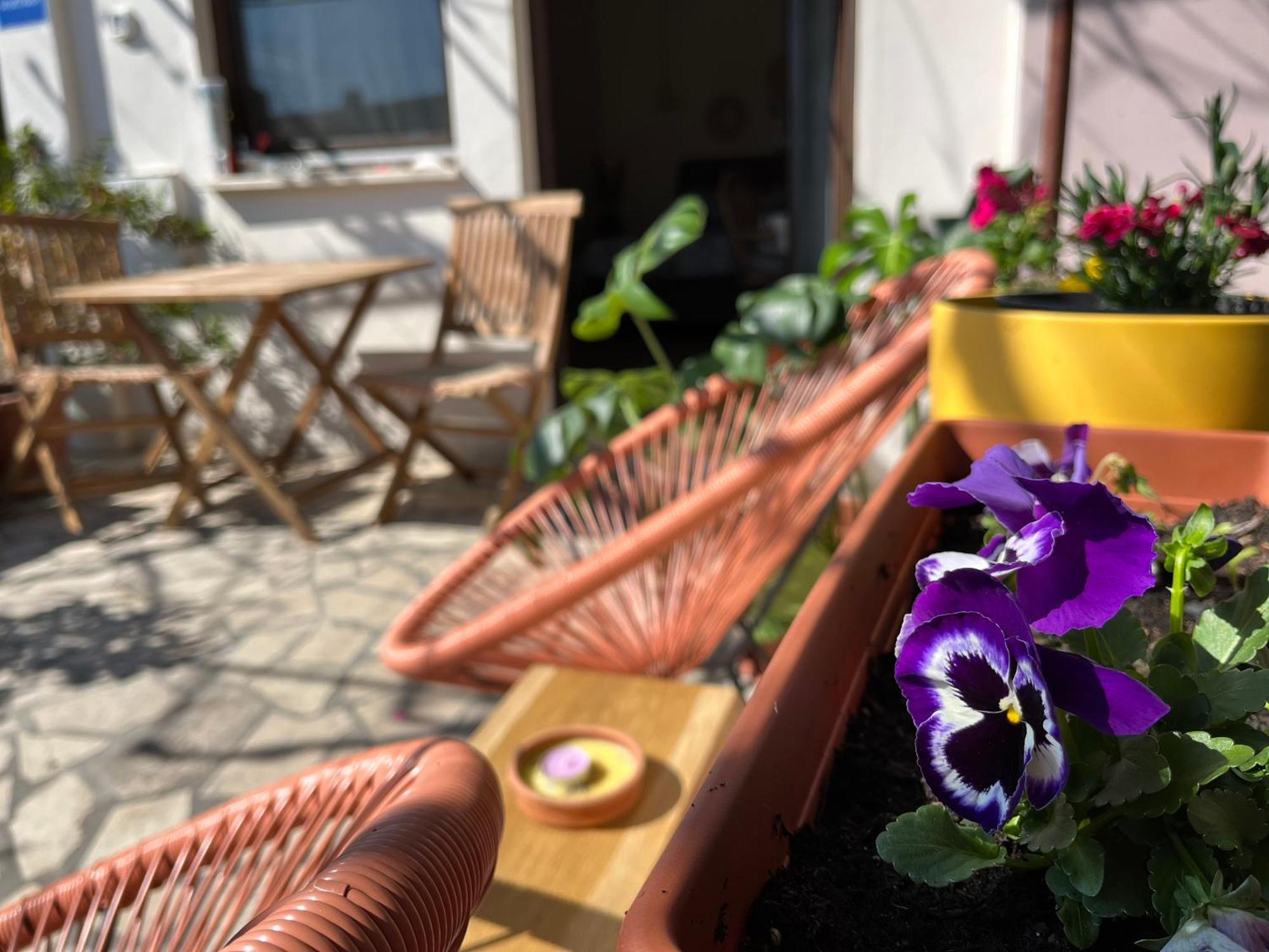 Veronika's House
