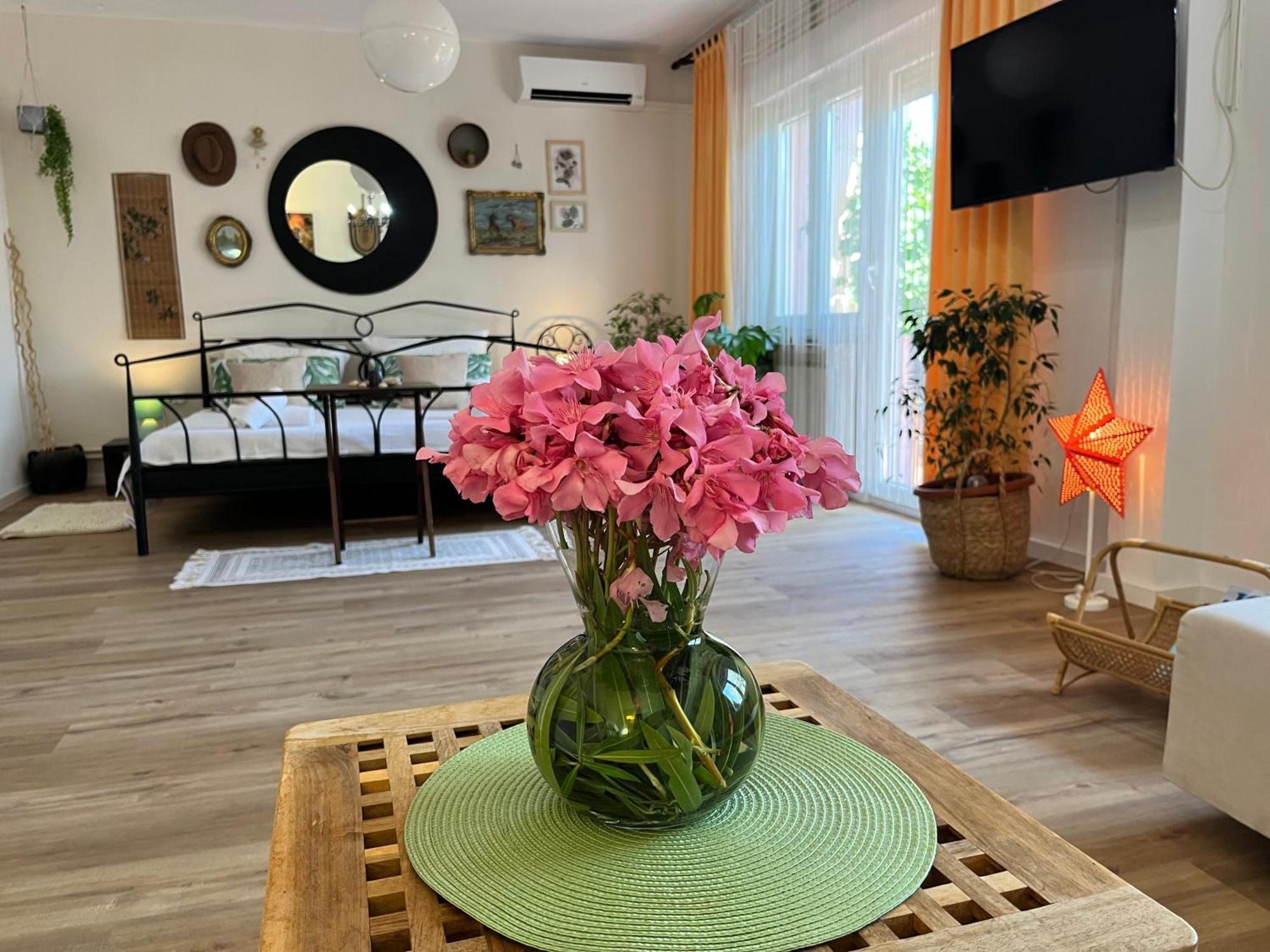 Apartment Veronika's House *
